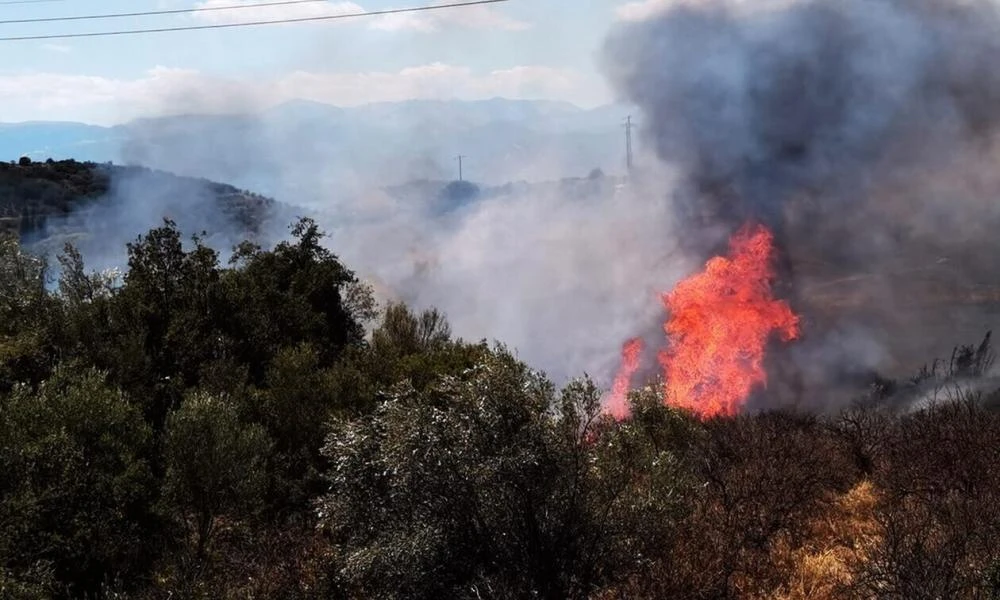 Νέος συναγερμός στην Πυροσβεστική - Φωτιά στην Κέρκυρα